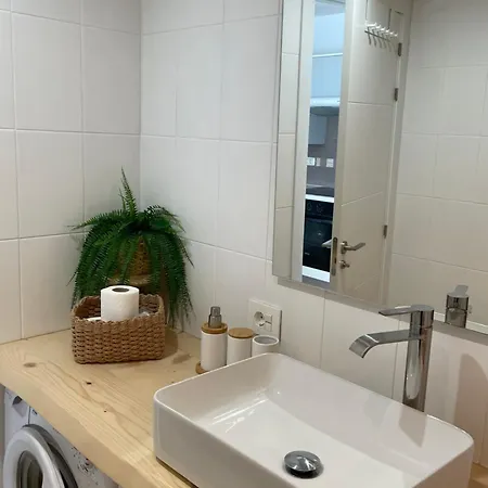 Sunflower * Puerto de Santiago (Tenerife)