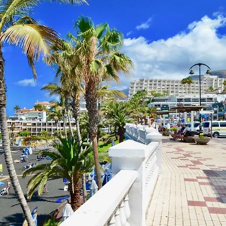 Sunflower * Puerto de Santiago (Tenerife)